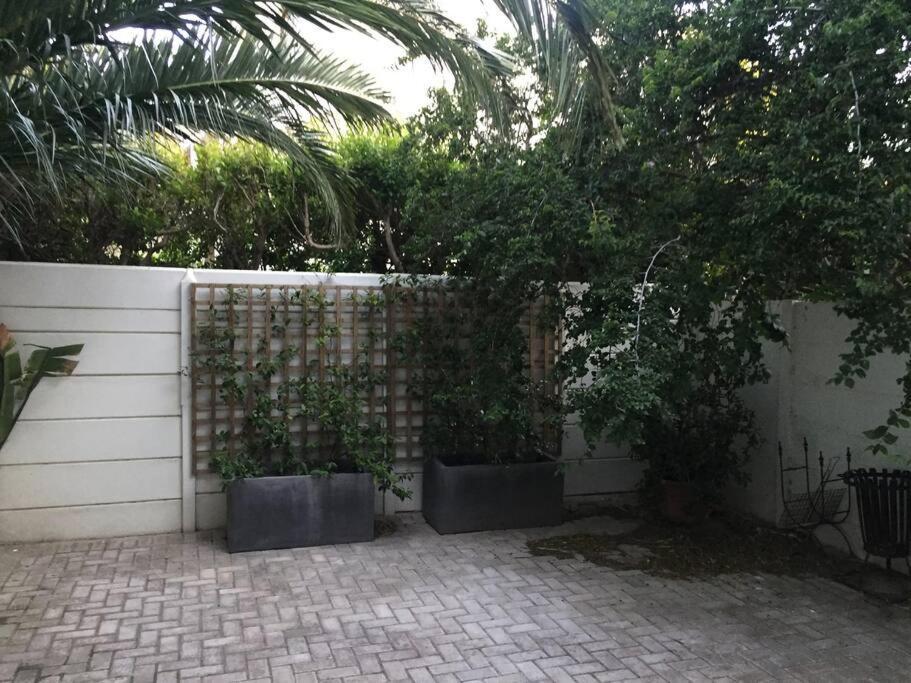 - Beautiful Modern * Cape Town